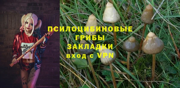ГАЛЛЮЦИНОГЕННЫЕ ГРИБЫ Дмитровск