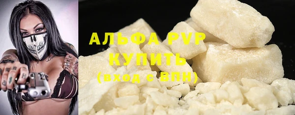 мдпв Гусев