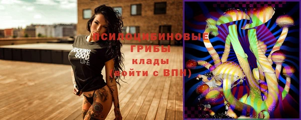 метамфетамин Ельня