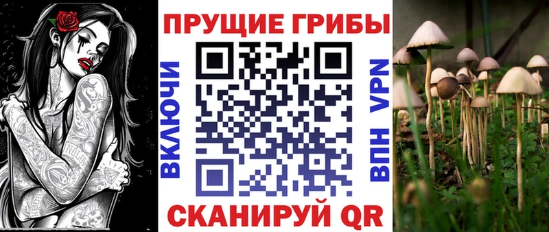 Галлюциногенные грибы GOLDEN TEACHER  Купить  Чапаевск 
